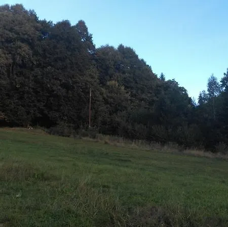Raj Z Widokiem Na Panorame Gorska Muszyna