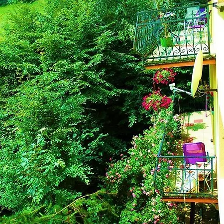 아파트 Raj Z Widokiem Na Panorame Gorska 무스지나